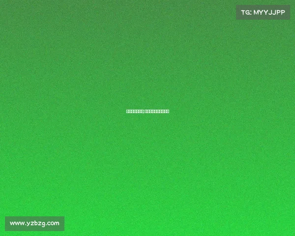 女排二队的赛事;女排二队的赛事有哪些