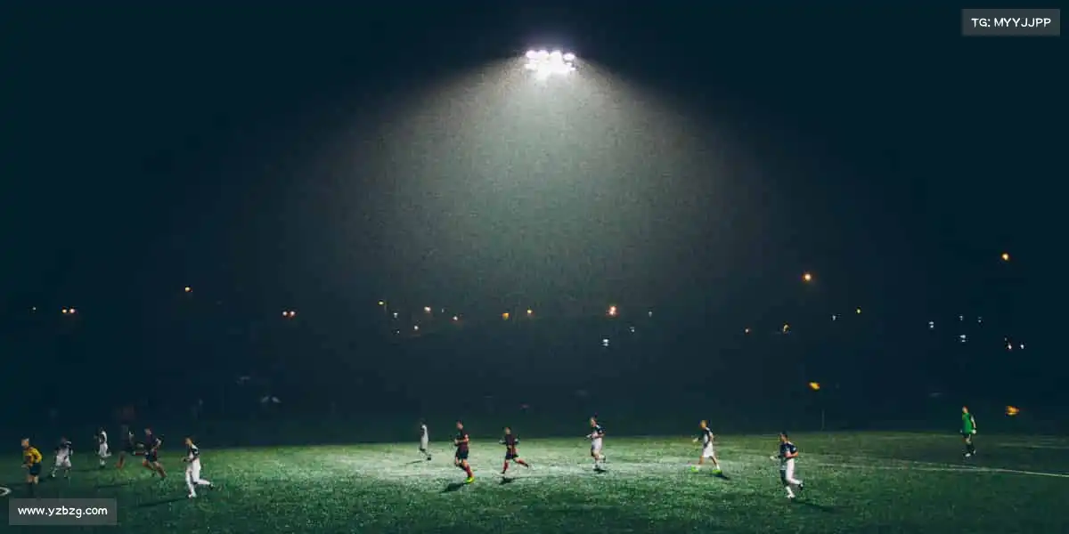 千亿国际qy18vip——跳跃吧,让世界看见你的高度!